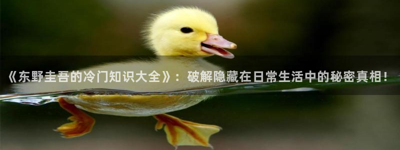 牛眼看书小说：《东野圭吾的冷门知识大全》：破解隐藏在日常生活中的秘密真相！